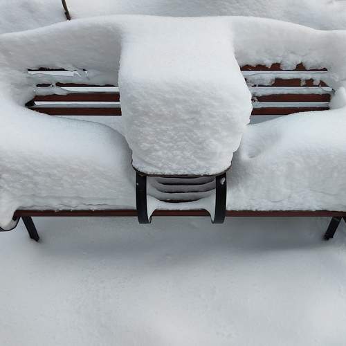 Photo #10212601