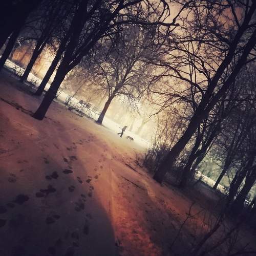 Photo #10212892