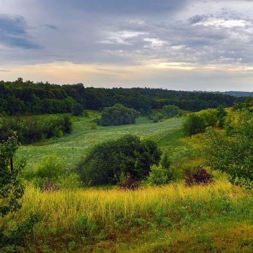 Photo #10213153