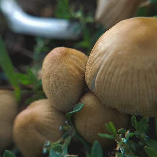 Photo #10213898