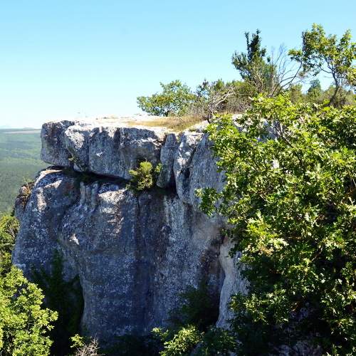 Photo #10214130