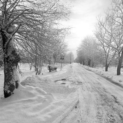 Photo #10214226