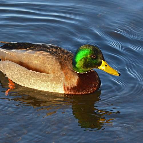 Photo #10214443