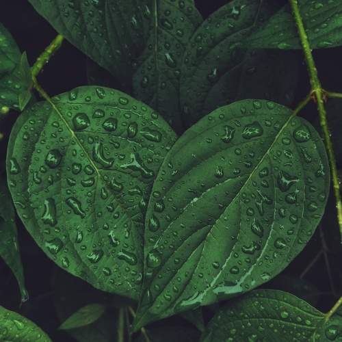 After rain