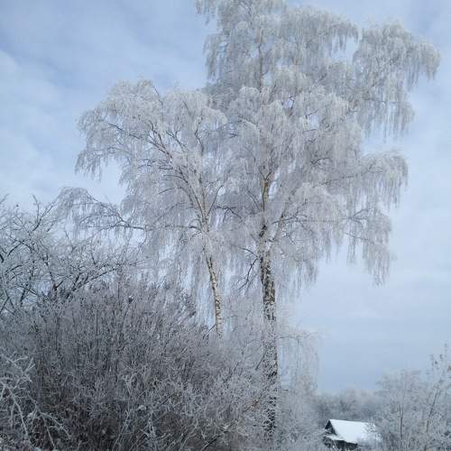 Photo #10214837