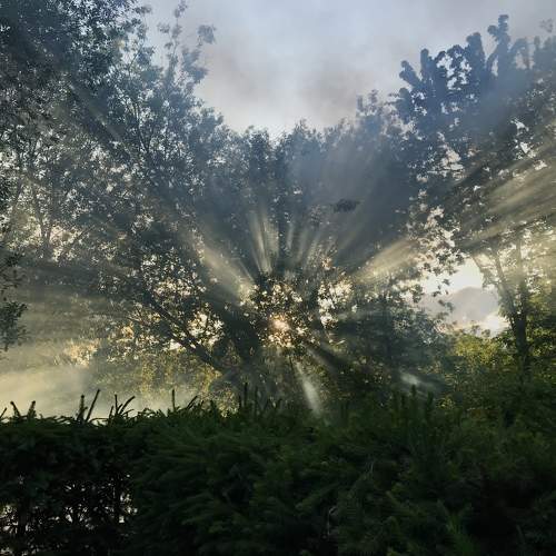 Photo #10214899