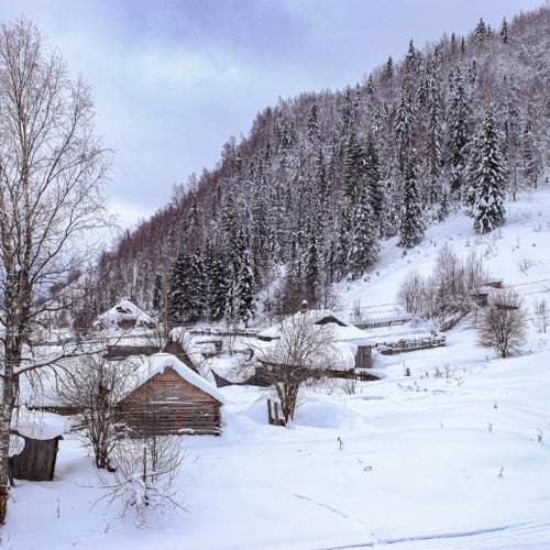 Photo #10214955