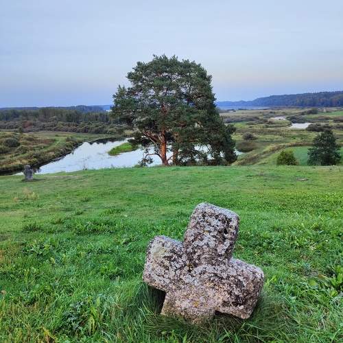 Photo #10214988