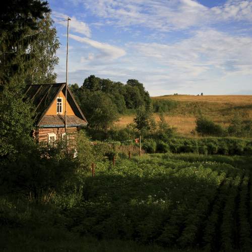 Photo #10215003