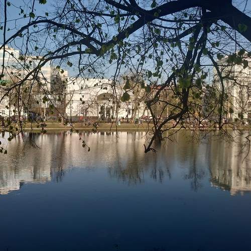 Photo #10215387