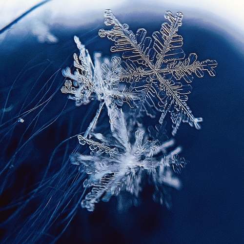 Полёт снежинок.