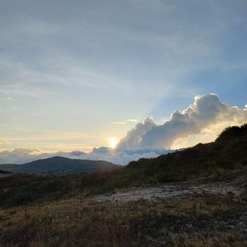 Photo #10216009