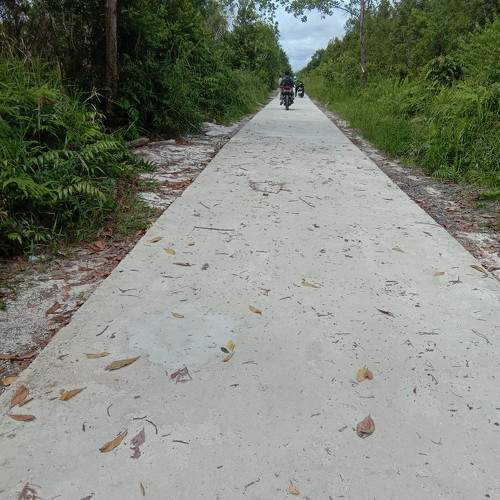 Photo #10216124