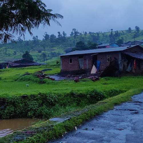 Photo #10216525