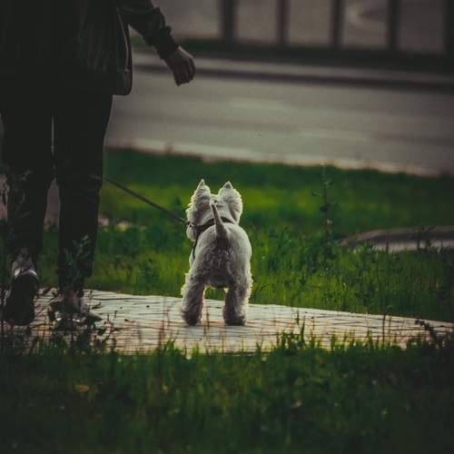 Photo #10216563