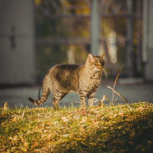 Photo #10216566