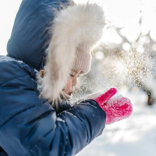 Photo #10217245