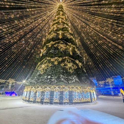 Photo #10217402