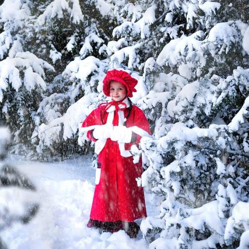 Photo #10218845