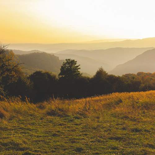 Photo #10219102