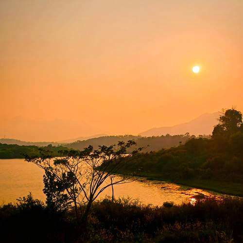Photo #10219412