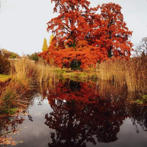 Photo #10219495