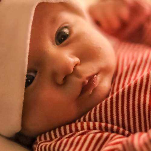 Photo #10219620