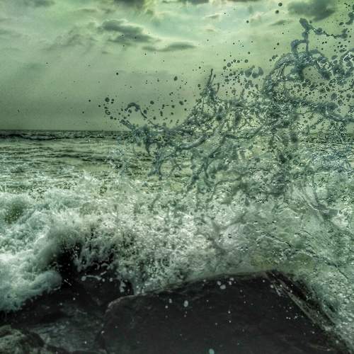 Photo #10219902