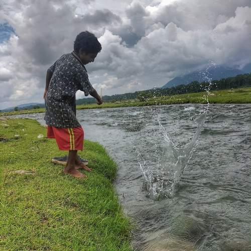 Photo #10219918