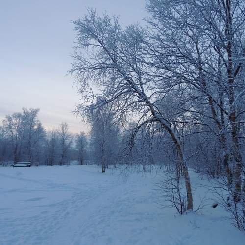 Photo #10220117