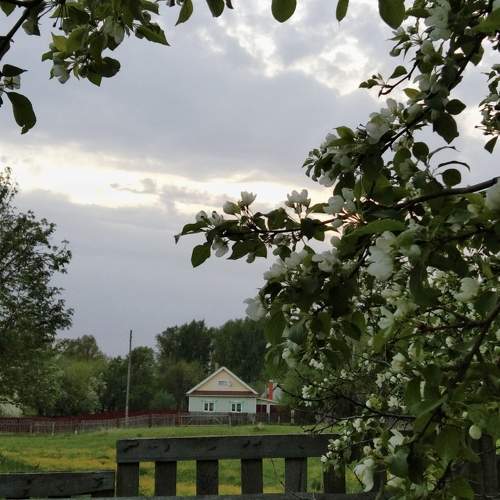 Photo #10220407