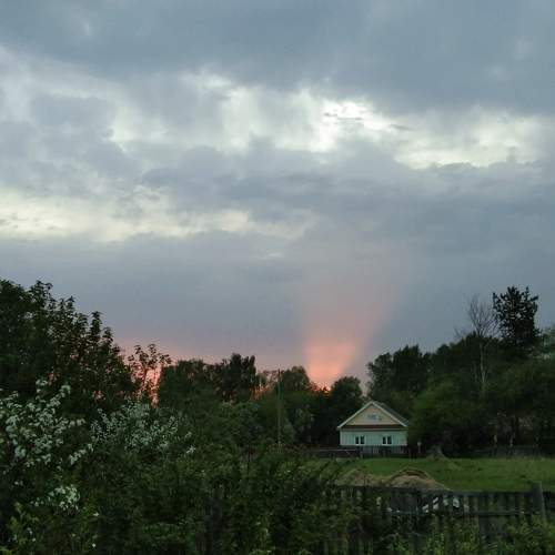 Photo #10220410
