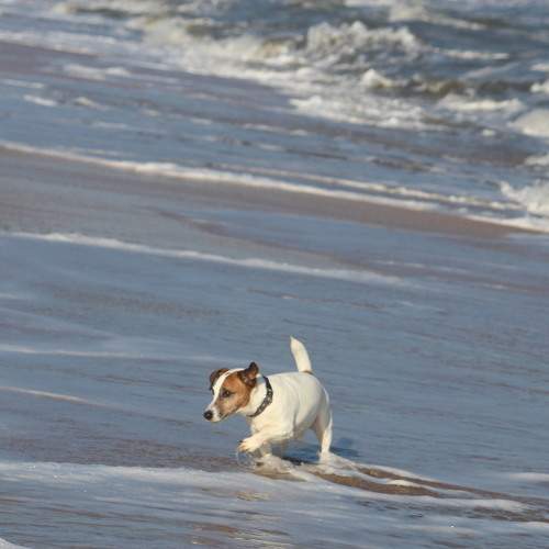 Photo #10220807