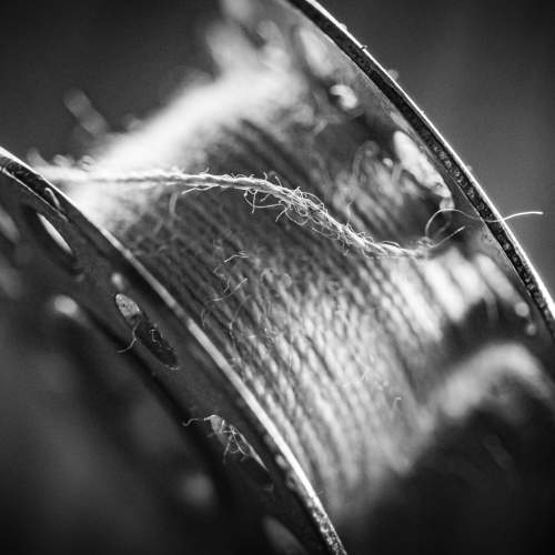 Photo #10220816