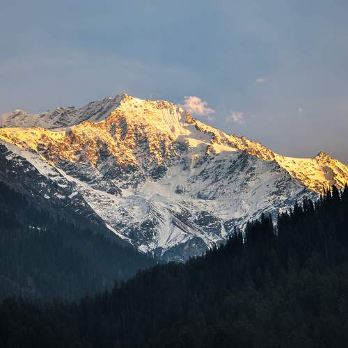 Photo #10221282