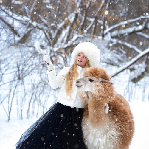 Photo #10221458