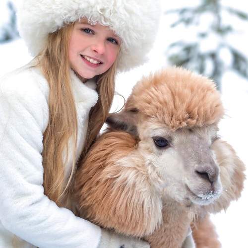 Photo #10221472