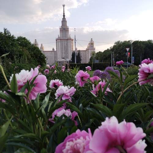 Photo #10221925