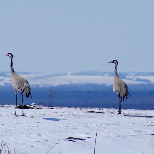 Photo #10222027