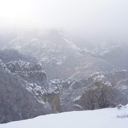 Photo #10222742