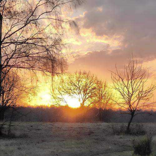 Photo #10222743