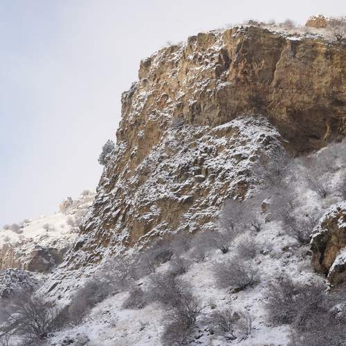 Photo #10222753