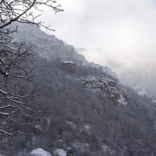 Photo #10222758