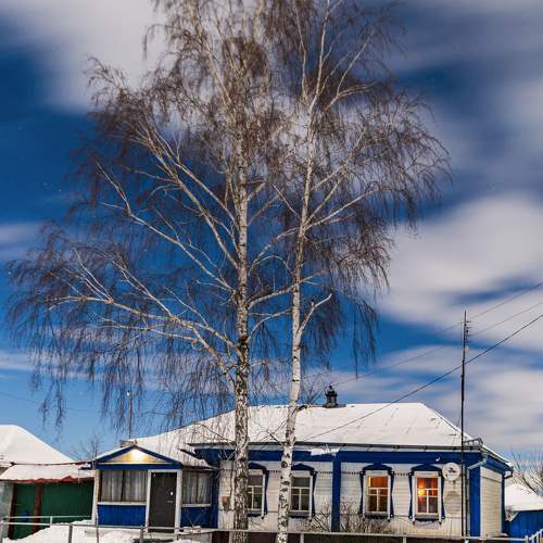 Photo #10223662