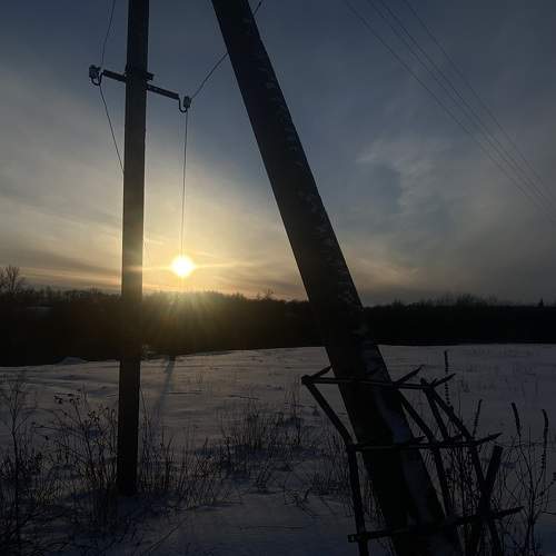 Photo #10223880