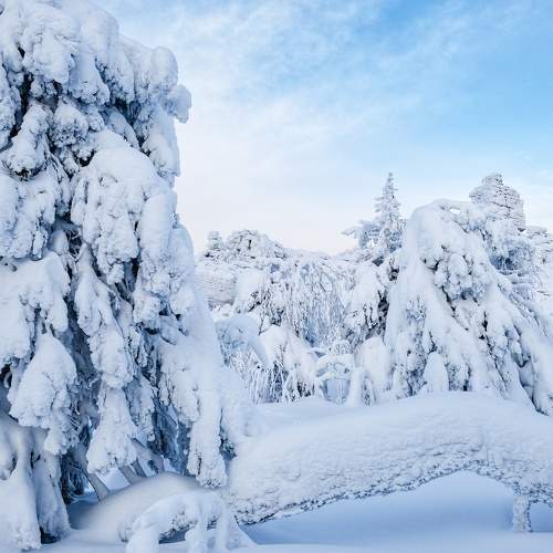 Photo #10223940