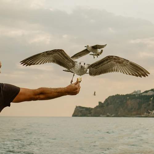 Photo #10224356