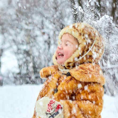 Photo #10224359