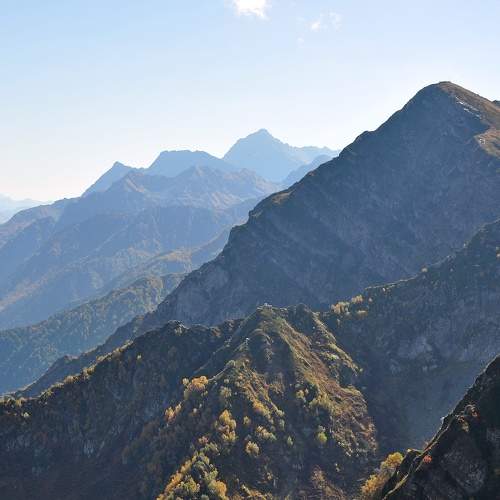 Photo #10224485