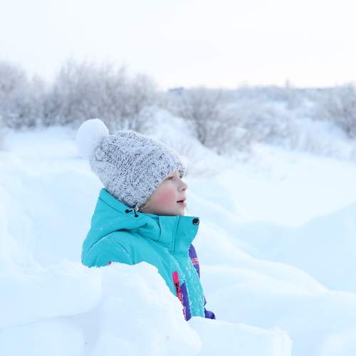 Photo #10224545